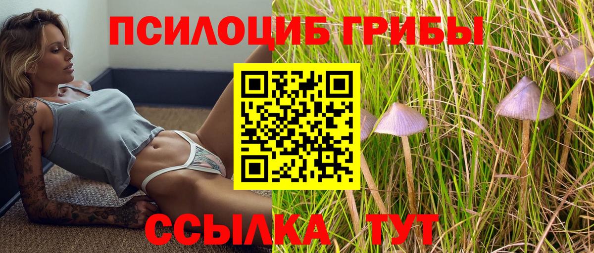 Галлюциногенные грибы Psilocybine cubensis  Вход с VPN  Алапаевск 